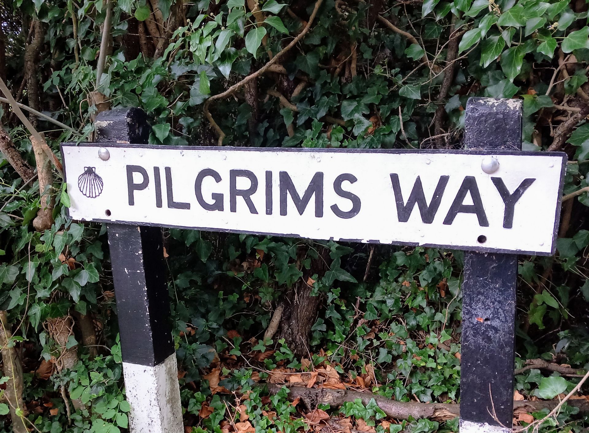 Pilgrims Way signage